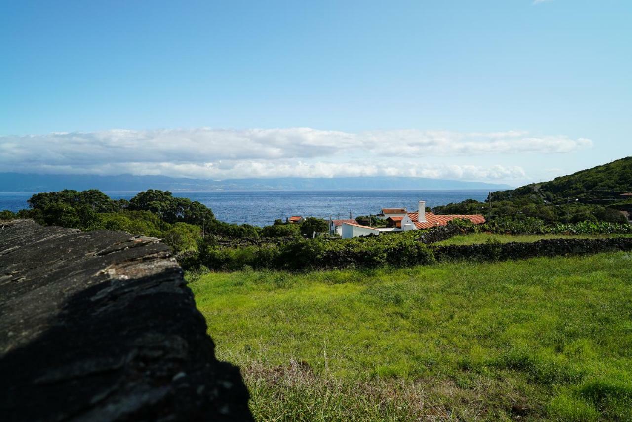 Вилла Casa Do Cedro Do Mato Terra Alta Экстерьер фото